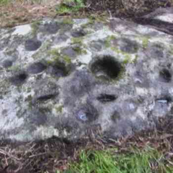 Click para ampliar. Pulsa en el nombre para ver la ficha. Monte do Boi-2